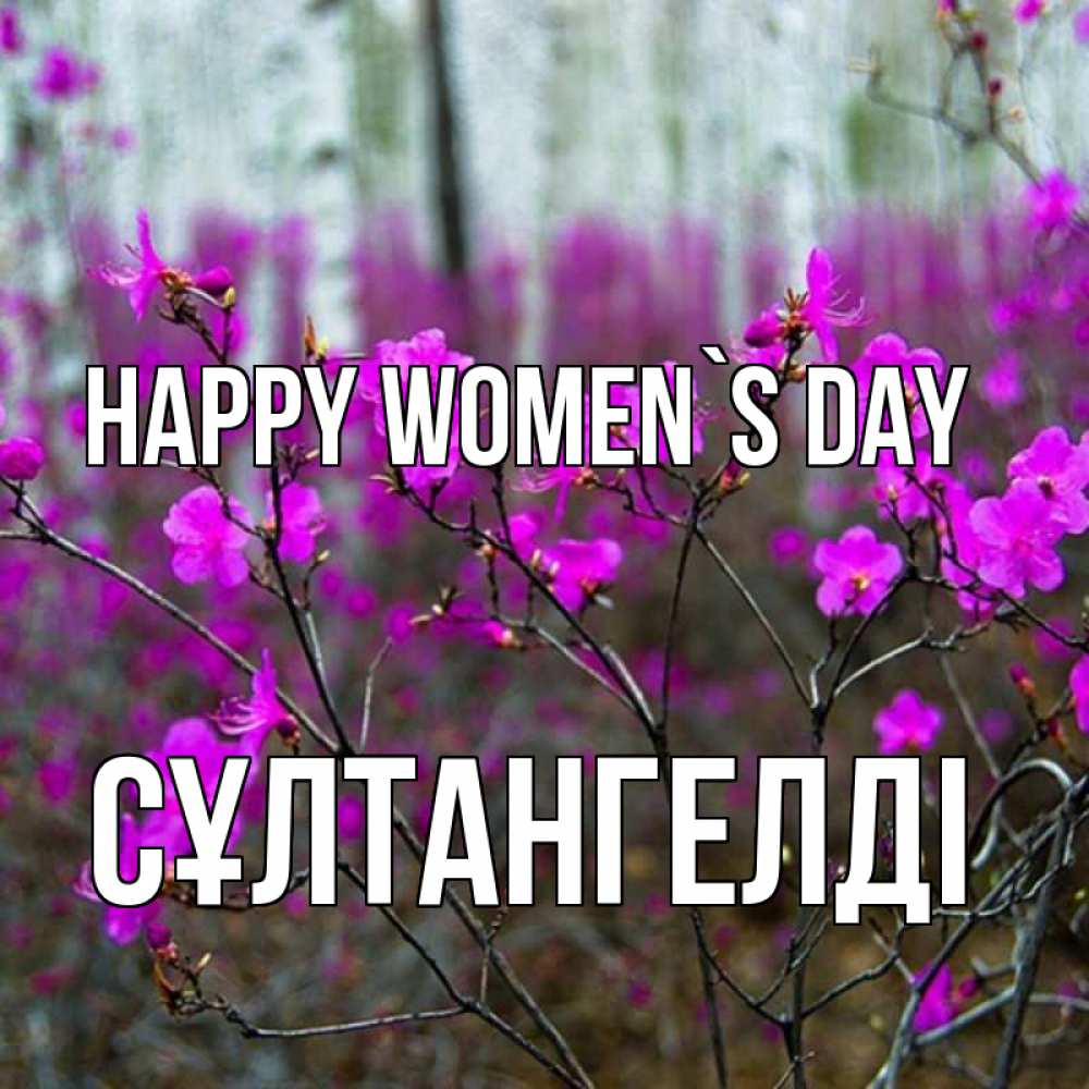 Greetings card с именем, СҰЛТАНГЕЛДІ happy women`s day дикие цветы Greetings with text for free download 